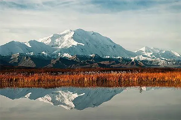 Denali National Park