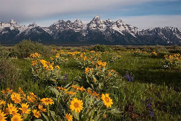 Grand Teton National Park