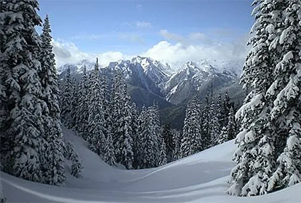 Olympic National Park 