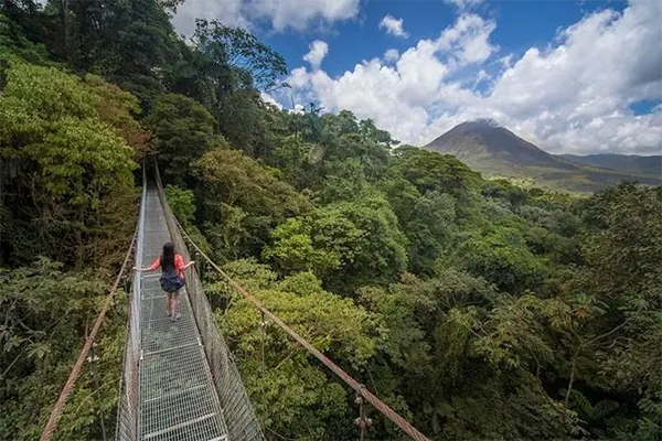 Hanging Bridges